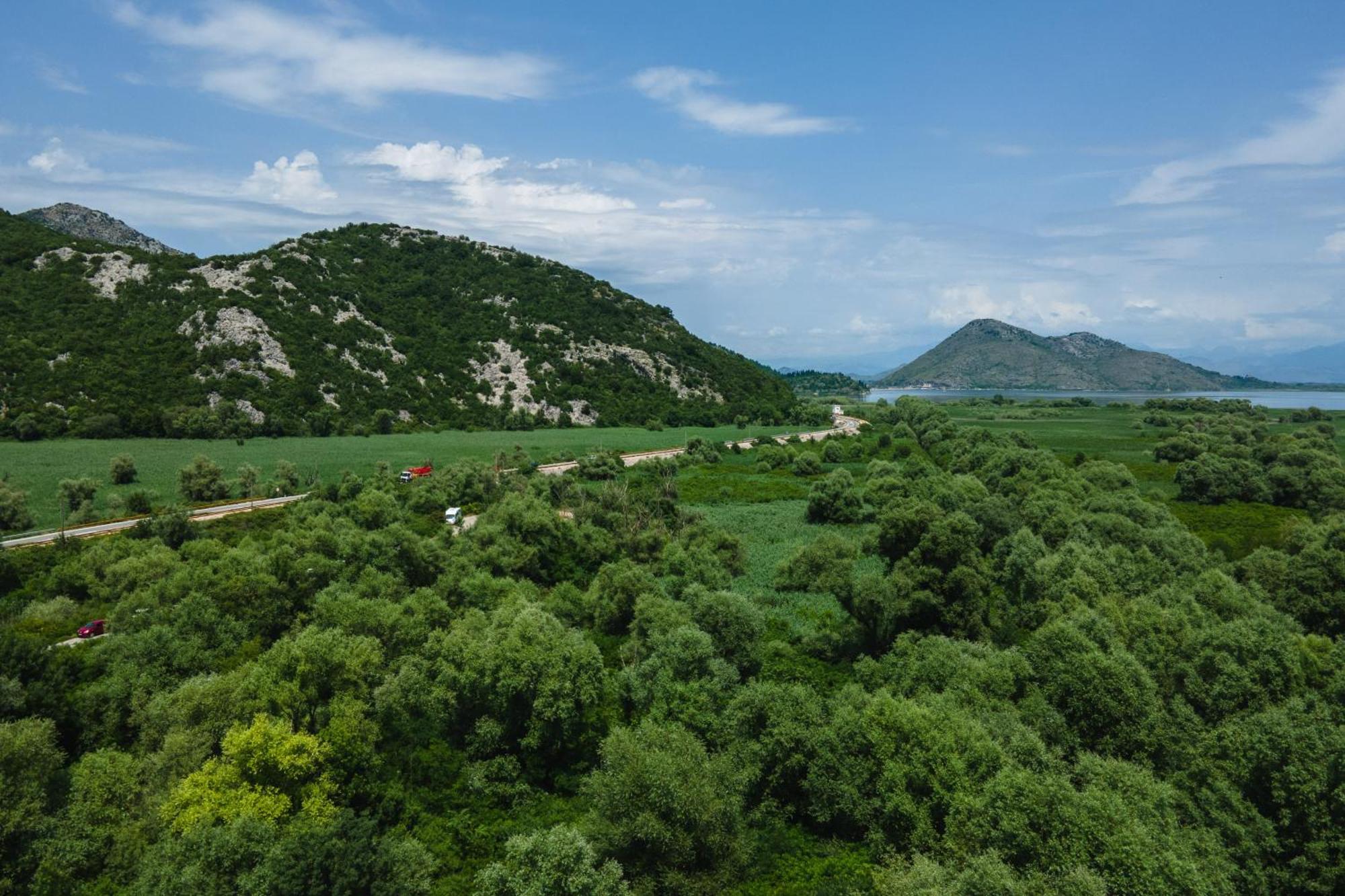 Green Hill Вирпазар Экстерьер фото